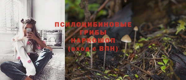 стафф Семикаракорск